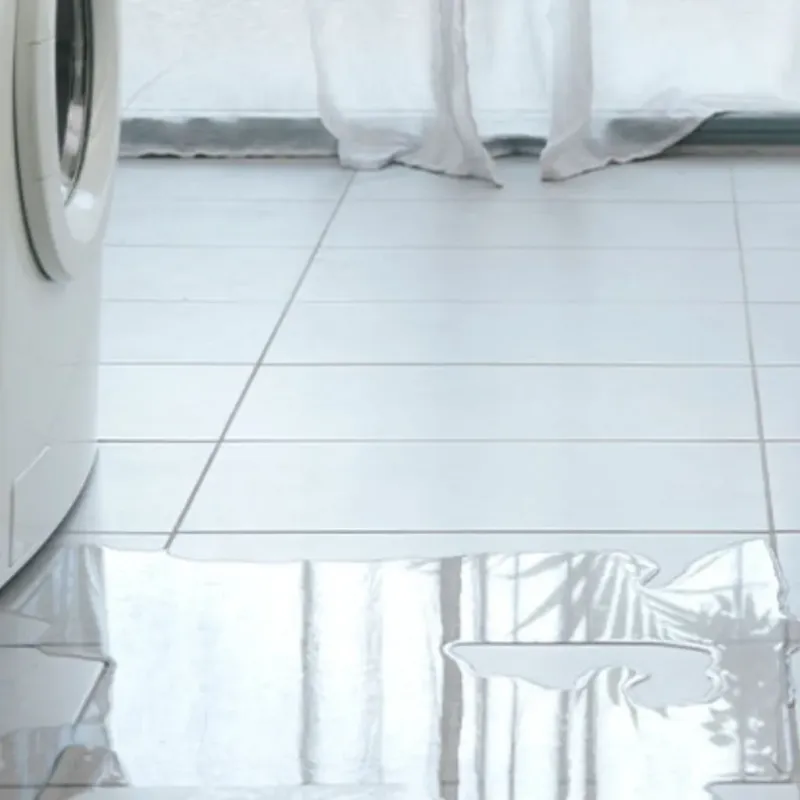 Appliance Leak Cleanup in Capron, IL