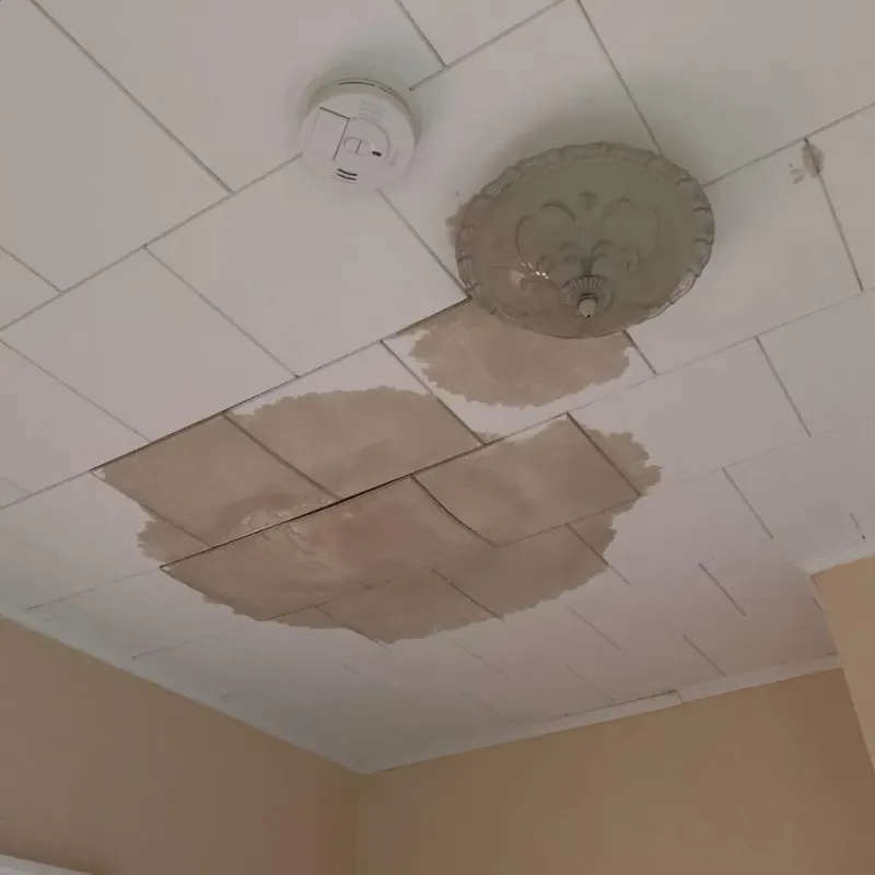 Ceiling Water Damage Repair in Capron, IL