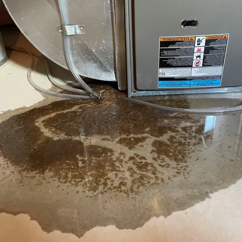 Pipe Burst and Leak Restoration in Capron, IL