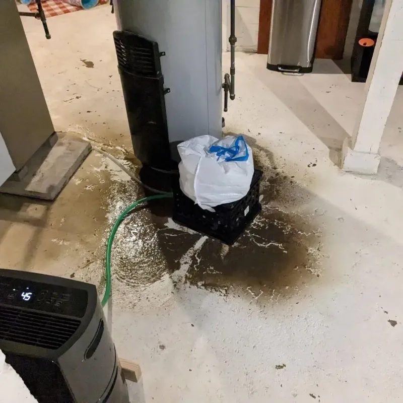 Sewage Backup Cleanup Service in Capron, IL